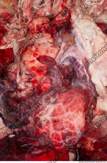 RAW meat pork viscera 0086